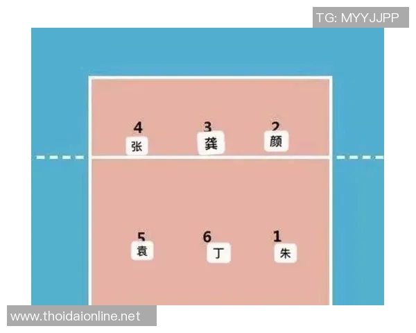 排球新手攻略：意识入门指南